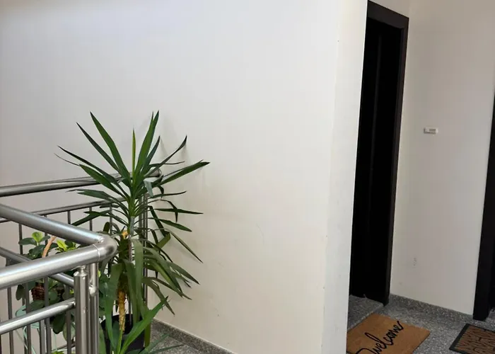 Downtown Harmony Chill Place